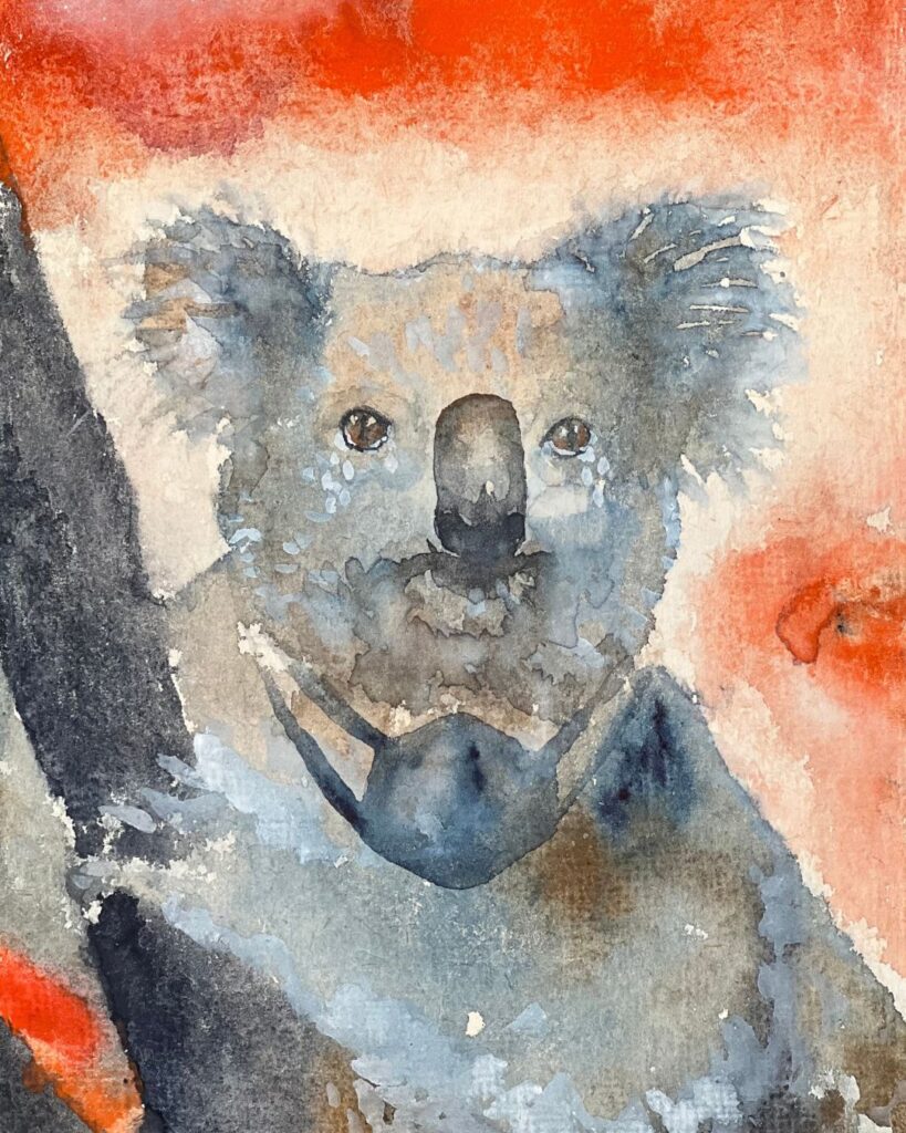 help koala